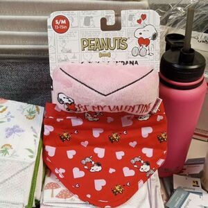 Peanuts Red Bandana and dog toy